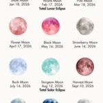 2026 New Moon Dates for Your New Moon Ritual Affirmation Practice 300x617 1