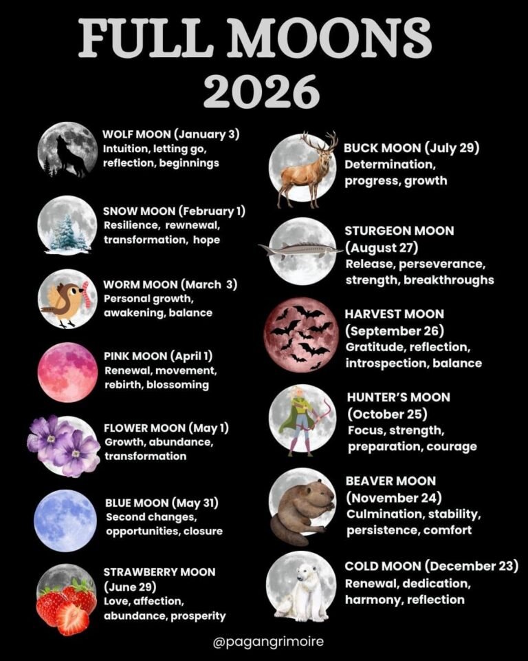 Astrology Meaning Of The Full Moon November 2026