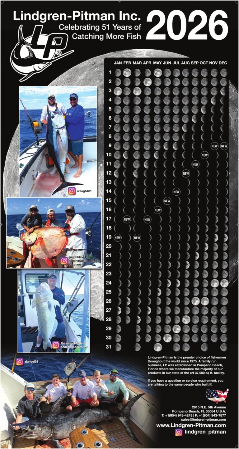 Fishing Guide By November 2026 Moon Phases
