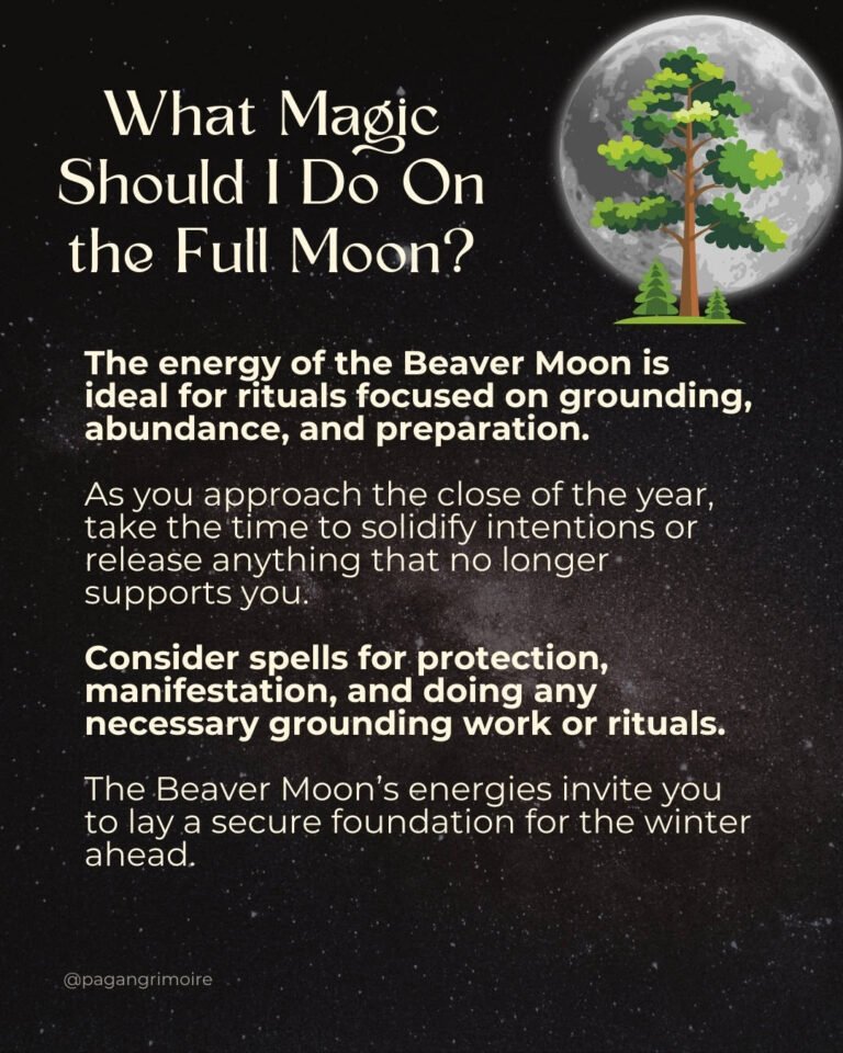Rituals To Do During The Full Moon November 2026