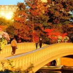 What to do in New York in November 1.jpg