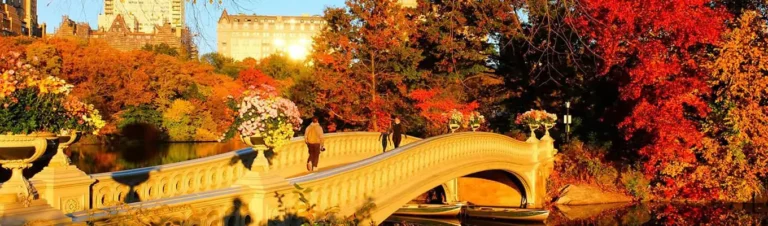 Free Outdoor New York Events November 2026