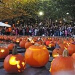boston pumpkin float frog pond 1