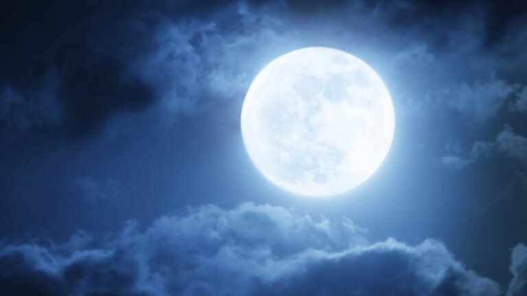 How The Full Moon November 2026 Affects Your Sleep
