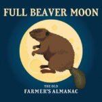 full20beaver20moon
