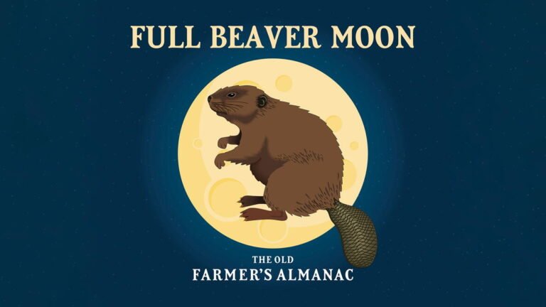Beaver Moon Full Moon November 2026 Date And Time