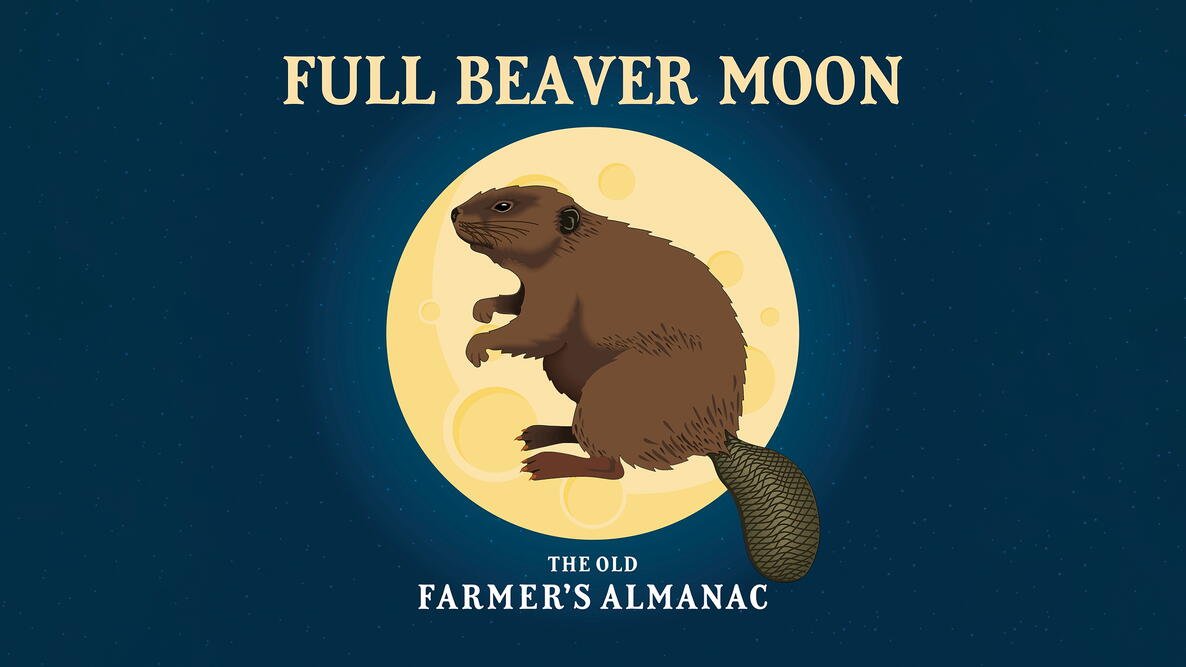 full20beaver20moon