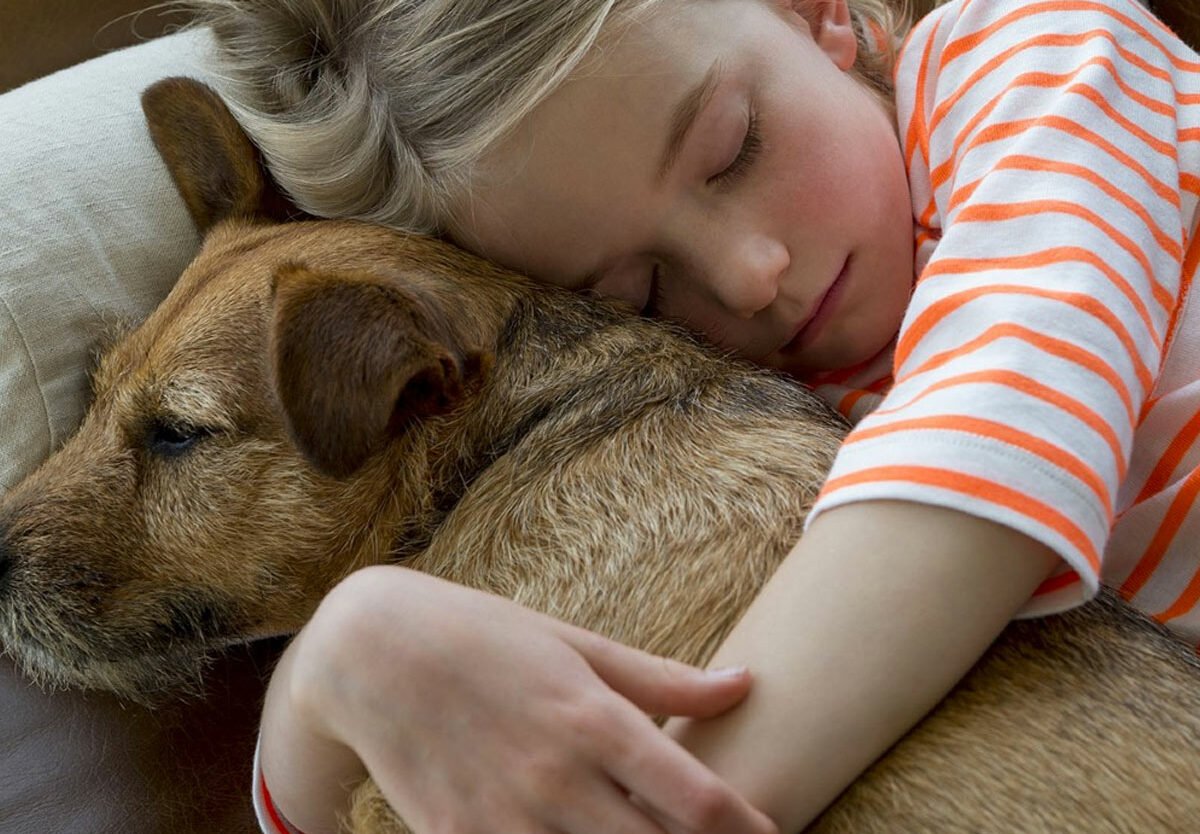 National Love Your Pet Day E2809AAi February 20 1 1200x834 1