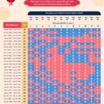 chinese pregnancy calender 2027